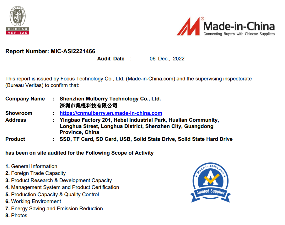 BV Audit Report